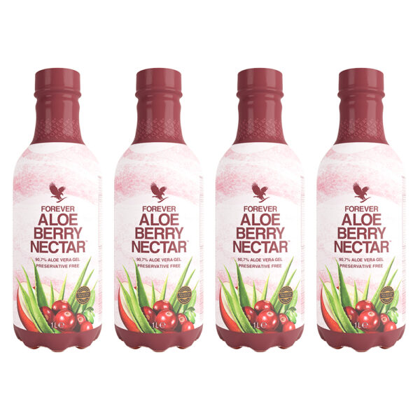4 Pack Aloe Berry Nectar